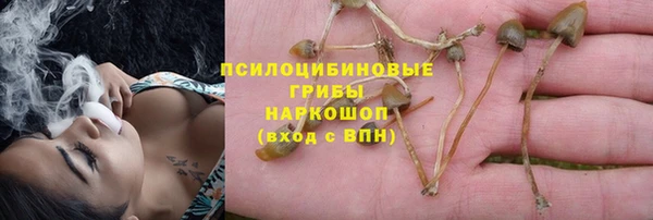 круглые Арсеньев